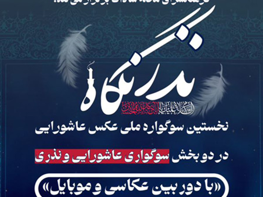 آثار امیر قیومی و مسلم پورشمسی در نمایشگاه سوگواره ملی عکس نذر نگاه