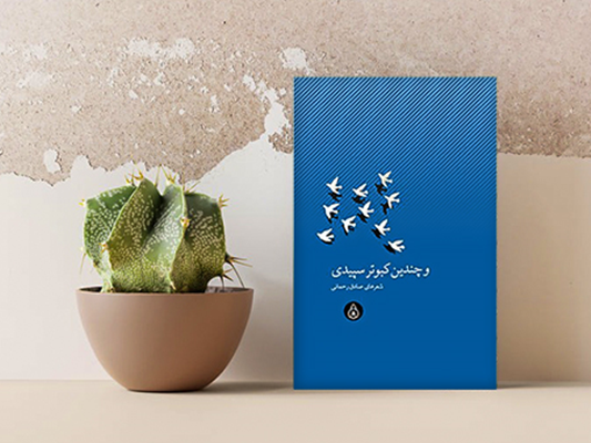 میان هیمه و شومینه