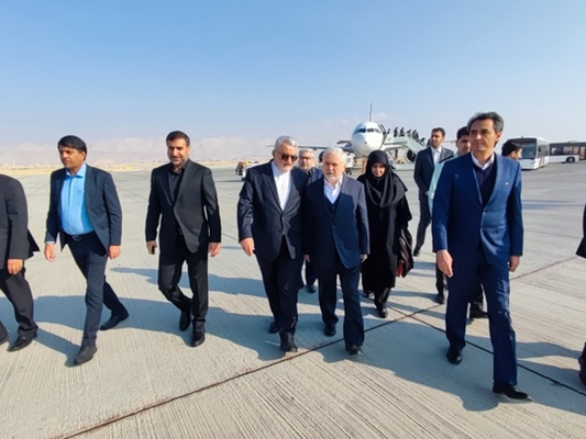 قائممقام وزیر و معاون میراثفرهنگی کشور وارد لارستان شد